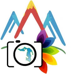 Logotip
