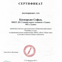 Аттестация педагогических работников &raquo; Скрыпник Елена Васильевна &raquo; Результативность профессиональной деятельности &raquo; 2016-17