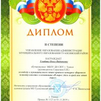 Аттестация педагогических работников &raquo; Скрыпник Елена Васильевна &raquo; Результативность профессиональной деятельности &raquo; 2019_2020