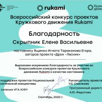 Аттестация педагогических работников &raquo; Скрыпник Елена Васильевна &raquo; Результативность деятельности педагогического работника &raquo; 2020-2021